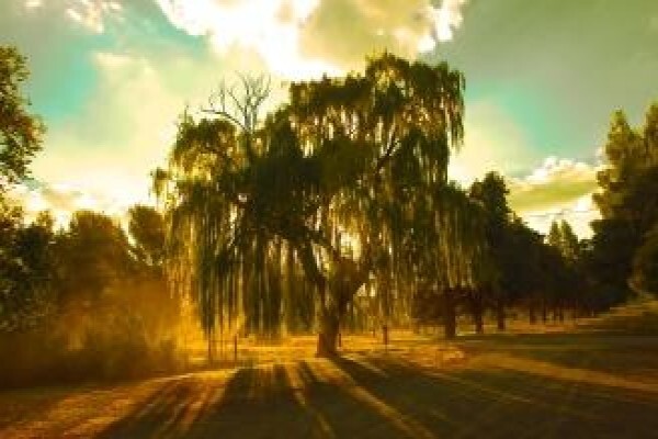 Ed O'Riley Photography