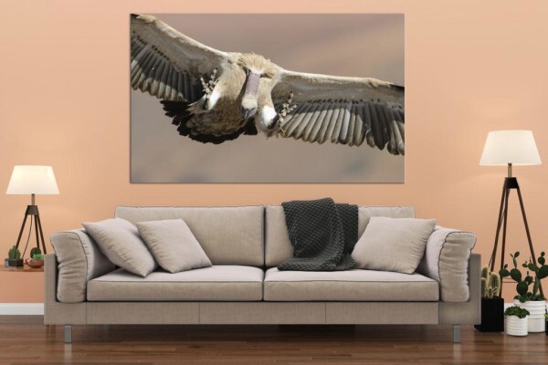 Living Canvas Photography