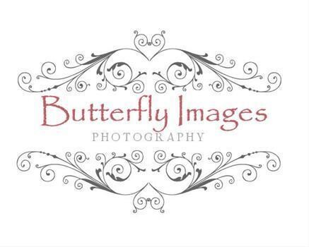 Butterfly Images Photography
