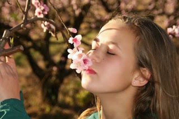 Digital Art Photography