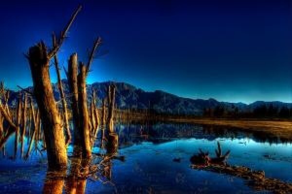 Ed O'Riley Photography