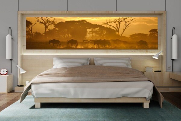 Living Canvas Photography