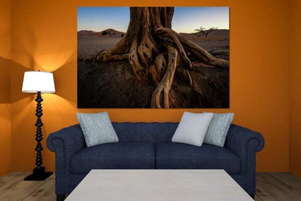 Living Canvas Photography