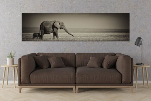 Living Canvas Photography