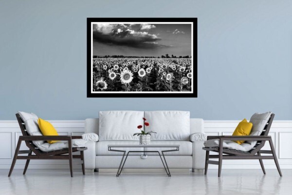 Living Canvas Photography