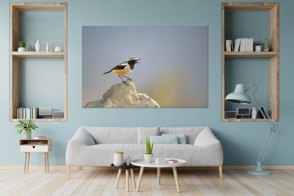 Living Canvas Photography