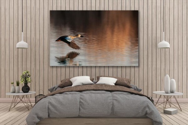 Living Canvas Photography