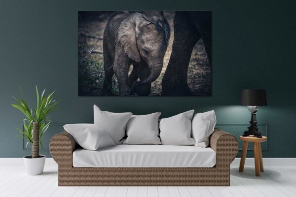 Living Canvas Photography