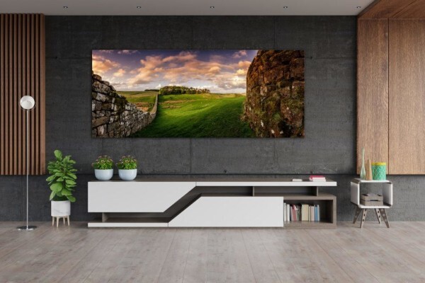 Living Canvas Photography