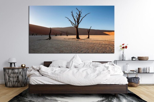 Living Canvas Photography