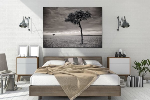 Living Canvas Photography
