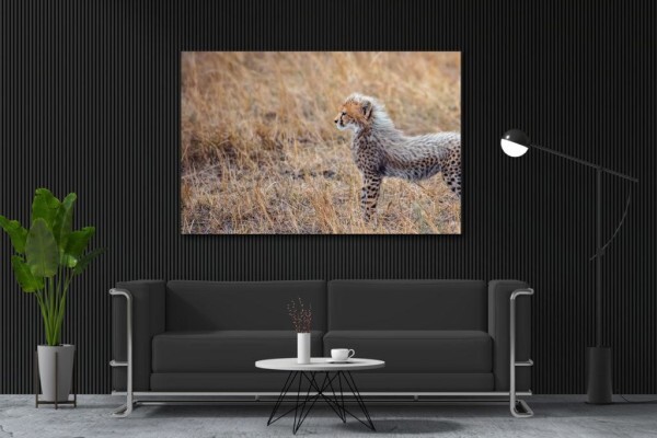 Living Canvas Photography
