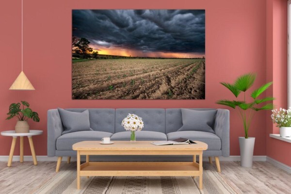 Living Canvas Photography