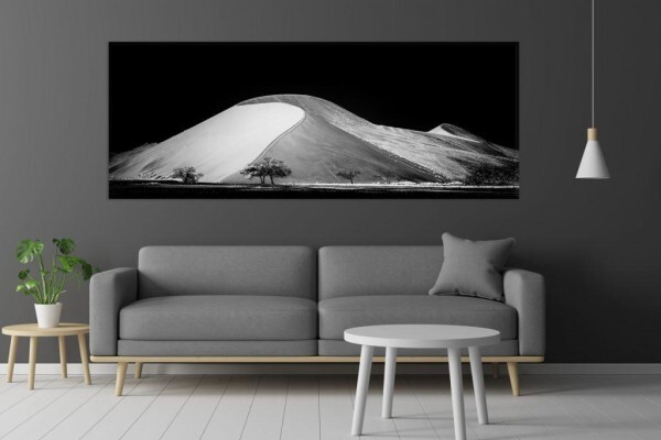 Living Canvas Photography