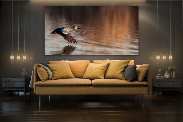 Living Canvas Photography