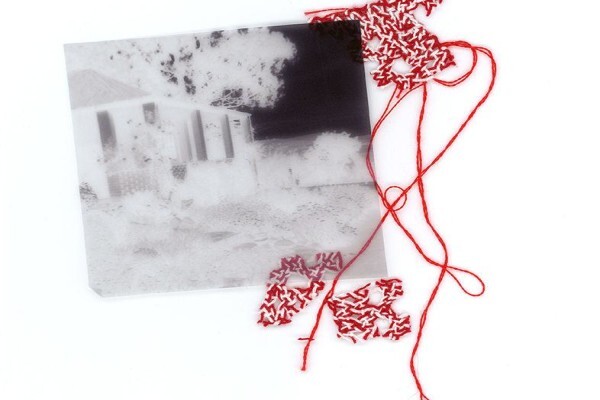 Pippa Hetherington Photographer
