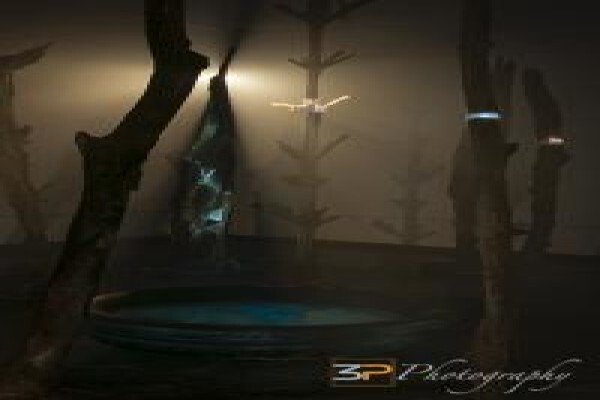 3P Photograhy