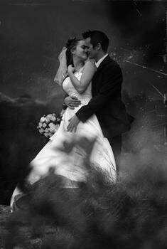 Shane Doyle Photography