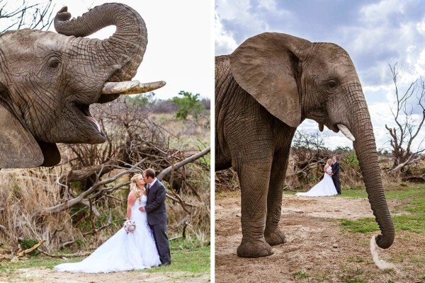 Lifesong Photography
