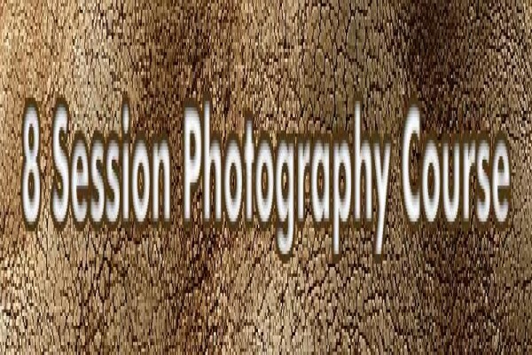 M West Photography & Digital Training