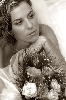 Shane Doyle Photography