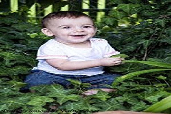 Dcpieters Photography