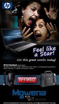 Mgwena It Solutions