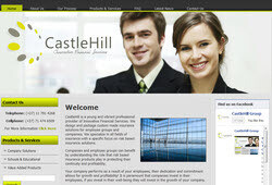 Web Artist - Brand And Business Solutions