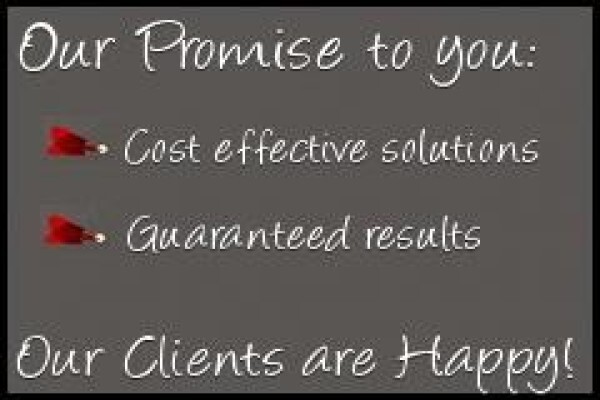 Strategic Information Technology Consulting