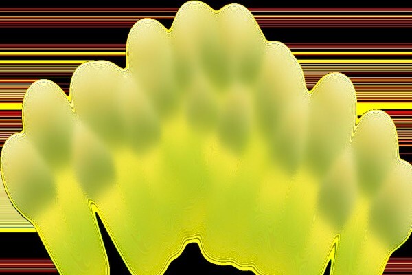 Application Technology