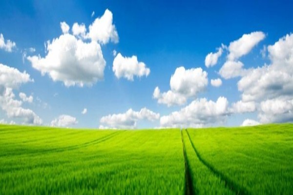 Application Technology