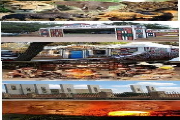 Gauteng Shuttle Tours And Charters