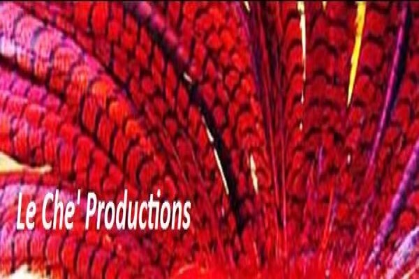 The Entertainment Group