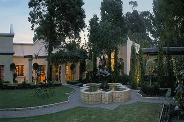 Creative Stone
