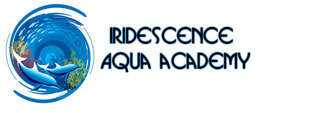 Iridescence Swimming School