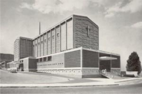 Catholic Archdiocese Of Johannesburg