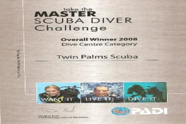 Twin Palms
