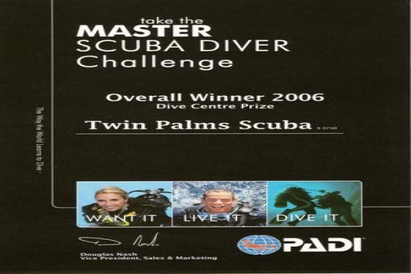 Twin Palms