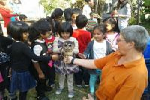 Sunshine Coast Montessori Pre School