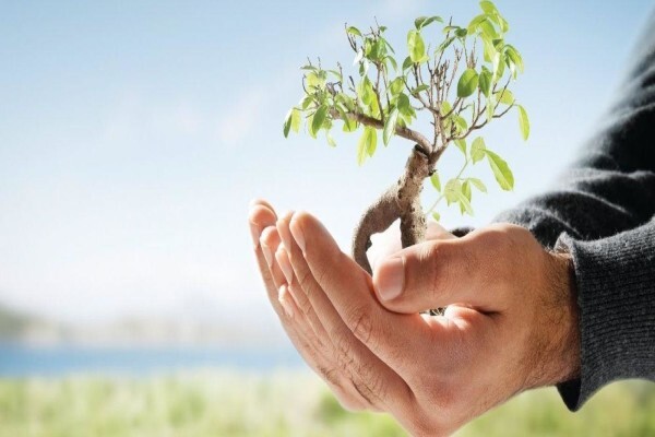 K5 Erp Solutions