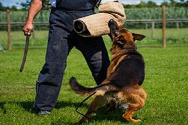 K9 Training Centre