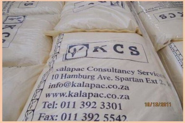 Kalapać Consultancy Services