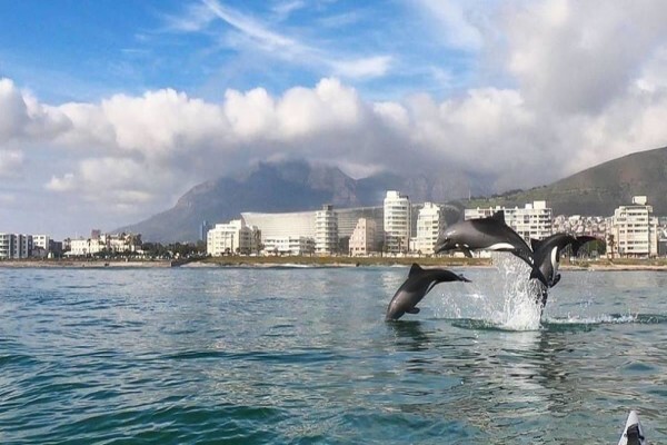 Kayak.Co.Za