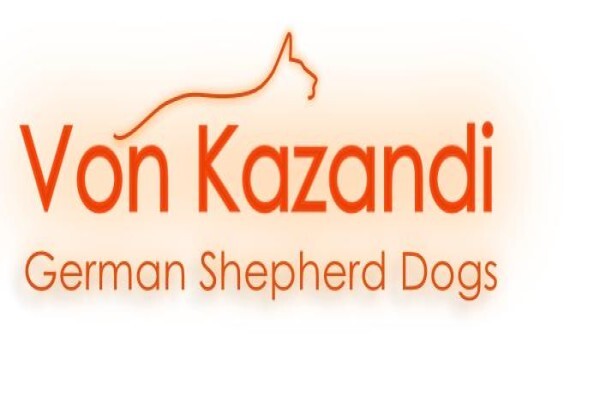 Kazandi