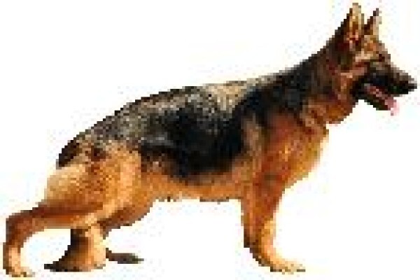 Kazandi