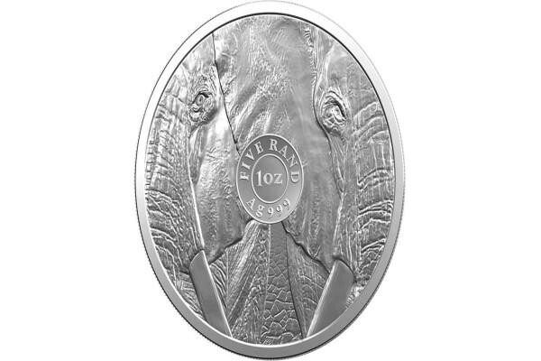 South African Mint Co