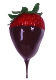 Chocolate Fountain Party Rentals