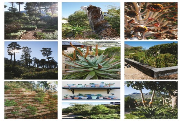 Exteriorscapes