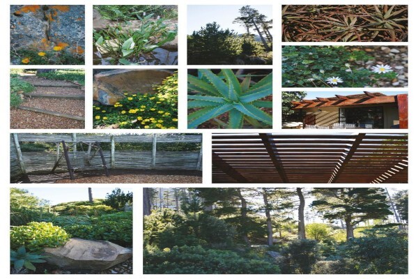 Exteriorscapes