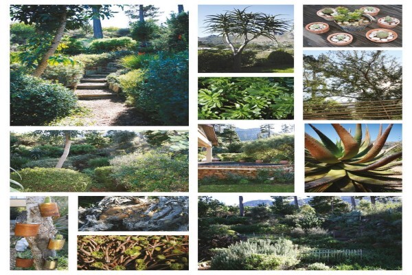 Exteriorscapes